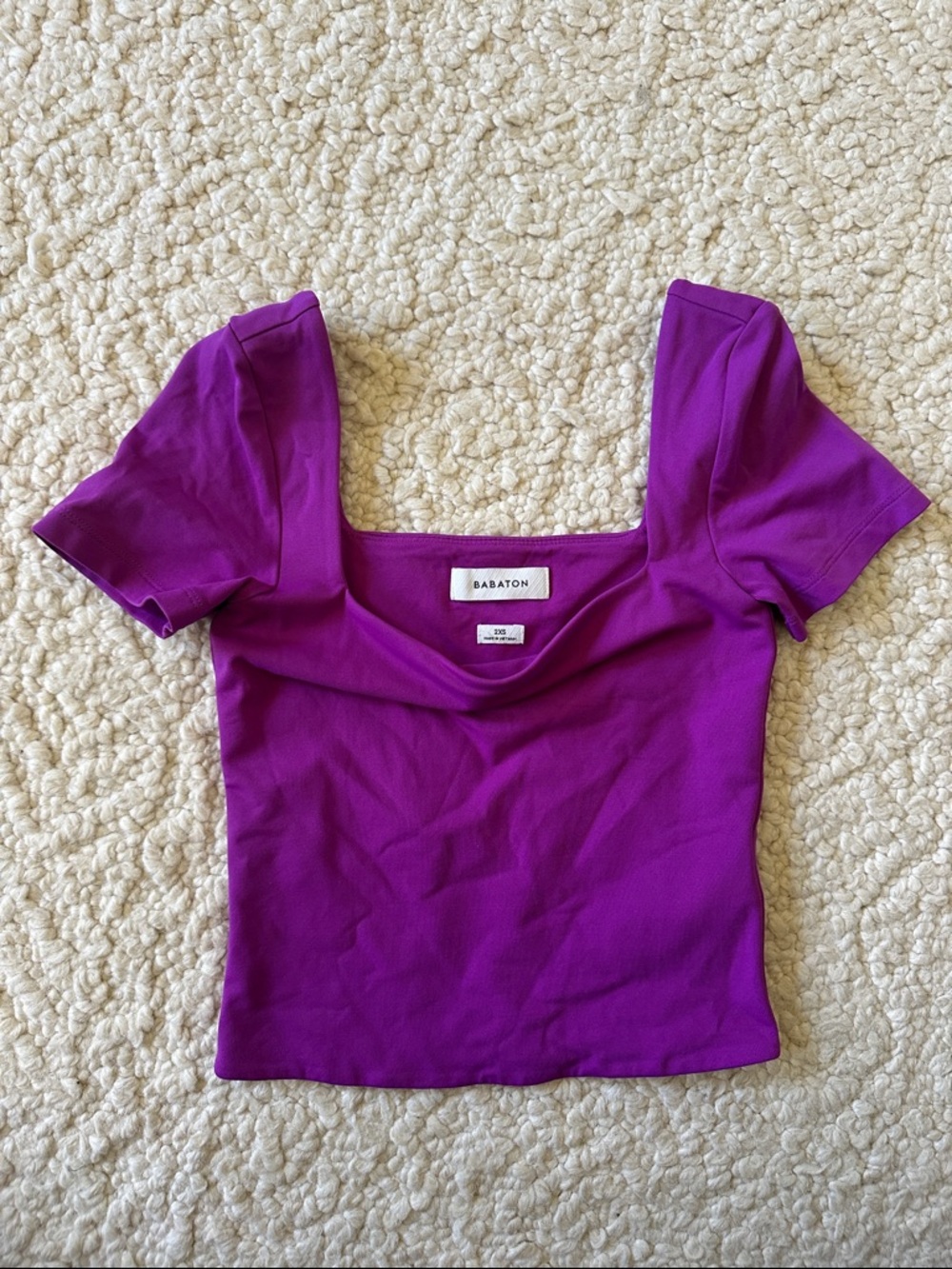 Aritzia Babaton Stretch Short Sleeve Crop Top - Purple